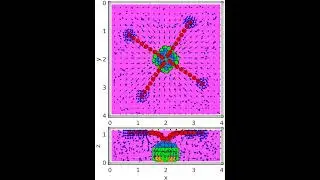 Engineers show self-organization of sticky micron-to-mesoscale 3D structures in confined fluids