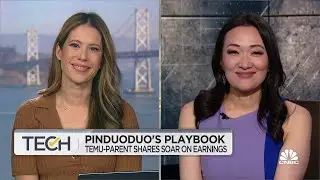 Pinduoduos playbook: Temu-parent shares soar on earnings