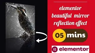 How to Make Elementor Glass Reflection Effect With Beautiful 360° Flip Card