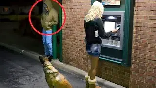 Это Нужно Видеть! Животные Герои Спасают Людей