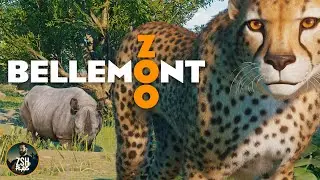 Cheetah & Black Rhino Mixed Habitat! | Bellemont Zoo