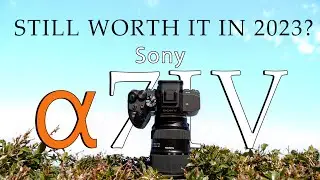 Is the Sony a7IV worth it in 2023? | 1 YEAR long term review