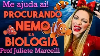 PROCURANDO NEMO E A BIOLOGIA - TODAS AS SACADAS CIENTÍFICAS - ANÁLISE DO FILME PROCURANDO NEMO