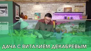 Дача с Виталием Декабревым Сезон 3 / Выпуск 1