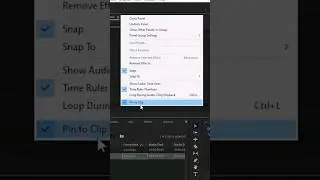 Pin To Clip In Adobe Premiere Pro CC