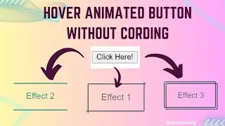 How to add hover Animated button Without coding  | NO CODING