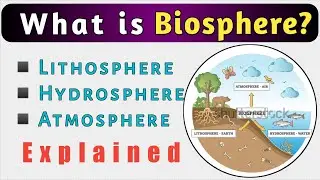 What is Biosphere || components of Biosphere || [English]