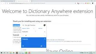 How to use an online dictionary for any website