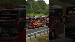 Bus Sugeng Rahayu ft Bus PO Haryanto Gosti #busmania #busindonesia #bus #busholic