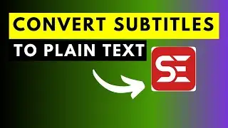 How to Edit Subtitles into Plain Text or Transcripts [METHOD 1]