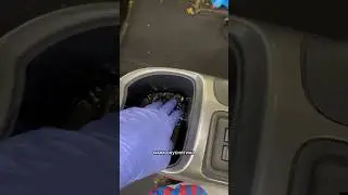 Химчистка Ниссан Жук 