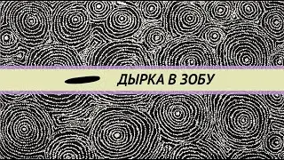 Дырка в зобу у попугая. Болезни попугаев выкормышей. Клебсиеллёз попугаев.