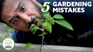 5 Biggest GARDEN MISTAKES to Avoid | Tips from a Beginner