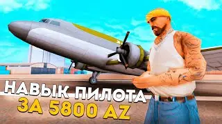 ЧАС РАБОТАЮ С НАВЫКОМ ПИЛОТА ЗА 5800 AZ на ARIZONA RP GTA SAMP