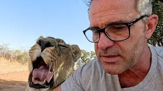 Members Ask Meg | The Lion Whisperer