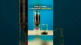 Homemade Water Filter With Bottle: Easy Trick! #shorts #water #experiment