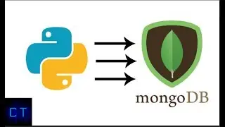 Insert data to MongoDB using Python script