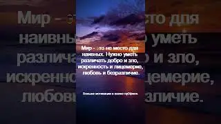 Мир   это не место для наивных