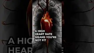 Myth That A High Heart Rate Means You're Not Fit!