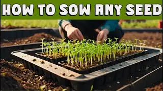 How to sow ANY SEED successfully, with a simple formula that works. #gardeningtips