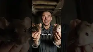 Самое ДОРОГОЕ Молоко по цене $20.000 за 1 Литр! 