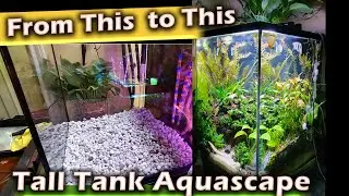 How to Aquascape a Tall Tank with an Under Gravel Filter. Created a Cave Aquascape, Full Build Video