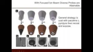 Advanced Techniques in  Electrochemistry : Electrochemical Scanned Probes