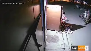 Загадочная смерть на Лесобазе: камеры не записали, как упал дядя Насти Муравьевой