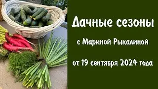 Дачные сезоны с Мариной Рыкалиной от 19 сентября 2024 года