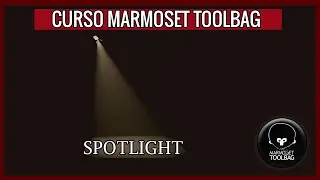 MARMOSET|| SPOTLIGHT