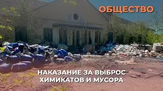Наказание за выброс химикатов и мусора