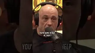 Joe Rogan's Plane Fight Story