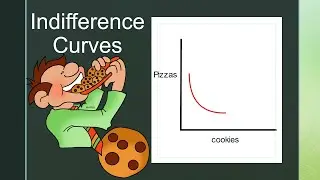 What Are Indifference Curves And Why Do We Use Them?