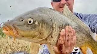 Клюнула ТОРПЕДА САЗАН!!! ДОСТОЙНИЙ БОЕЦЬ!!!