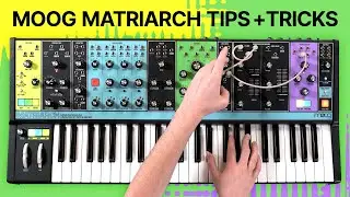 Moog Matriarch Hot Tips and Tricks for Synthesizing Sounds