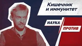 Дмитрий Алексеев против мифов о кишечнике и иммунитете // Наука против