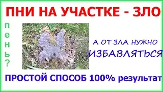 Как избавится от пня на участке за 3 минуты. Простой способ.