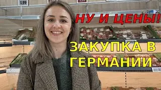 Закупка продуктов Германии 2023 / Обзор цен в Lidl