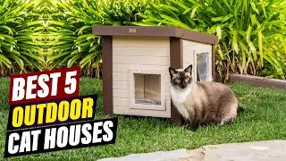 Best Outdoor Cat Houses: A Guide to Keep Your Kitty Cozy