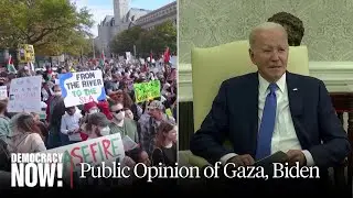 Paradigm-Changing Moment: Public Opinion Shifts on Palestine. Will Gaza War Hurt Biden Reelection?