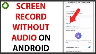 How to Screen Record Without Audio on Android [QUICK GUIDE]