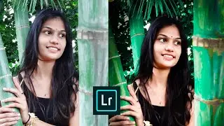 How To Use  Green Tone Effect Lightroom || Green tone Effect