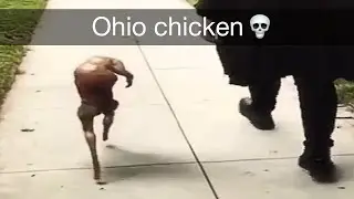 Ohio Chicken 💀