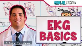 EKG Basics | How to Read & Interpret EKGs: Updated Lecture