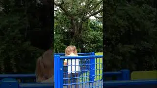 Tots are having fun at the playground. Outdoors Cute Playing!