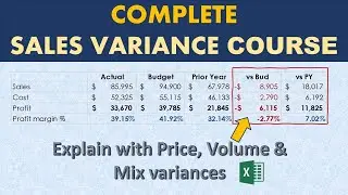 The Complete Sales and Profit Variance Analysis Course (Price, Volume, Mix impact on Profitability)