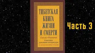 Тибетская книга жизни и смерти   Часть 3   Согьял Ринпоче   Аудиокнига