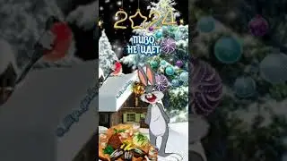 13 января 2024 г.