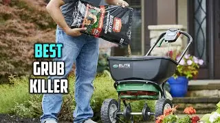 Best Grub Killer for Lawns, Kills White Grubs in 2024 - Top 5  Review