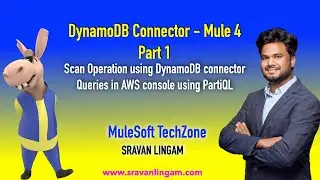 Mule 4 - Dynamo DB Connector - Scan Table | Part -1 